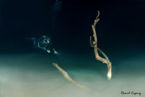 Exploration at 27m just above a hydrogen sulfide layer se... by Raoul Caprez 